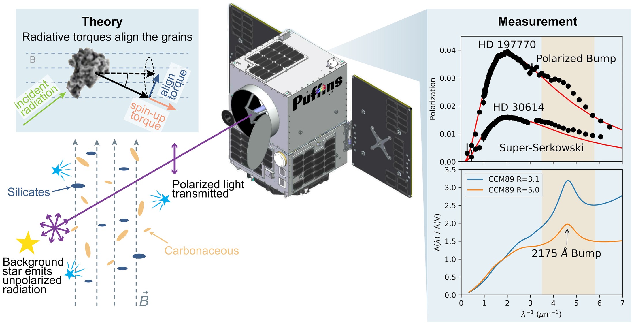 Three-panel figure. Left: radiative torques spinning up and aligning a
                  dust grain with the magnetic field, and starlight from a background star
                  becoming polarized as it passes through aligned silicate grains. Centre:
                  the PUFFINS spacecraft. Right: measured polarization curves for HD 197770
                  and HD 30614 showing the polarized bump and the super-Serkowski rise, above
                  extinction curves marking the 2175 angstrom bump.